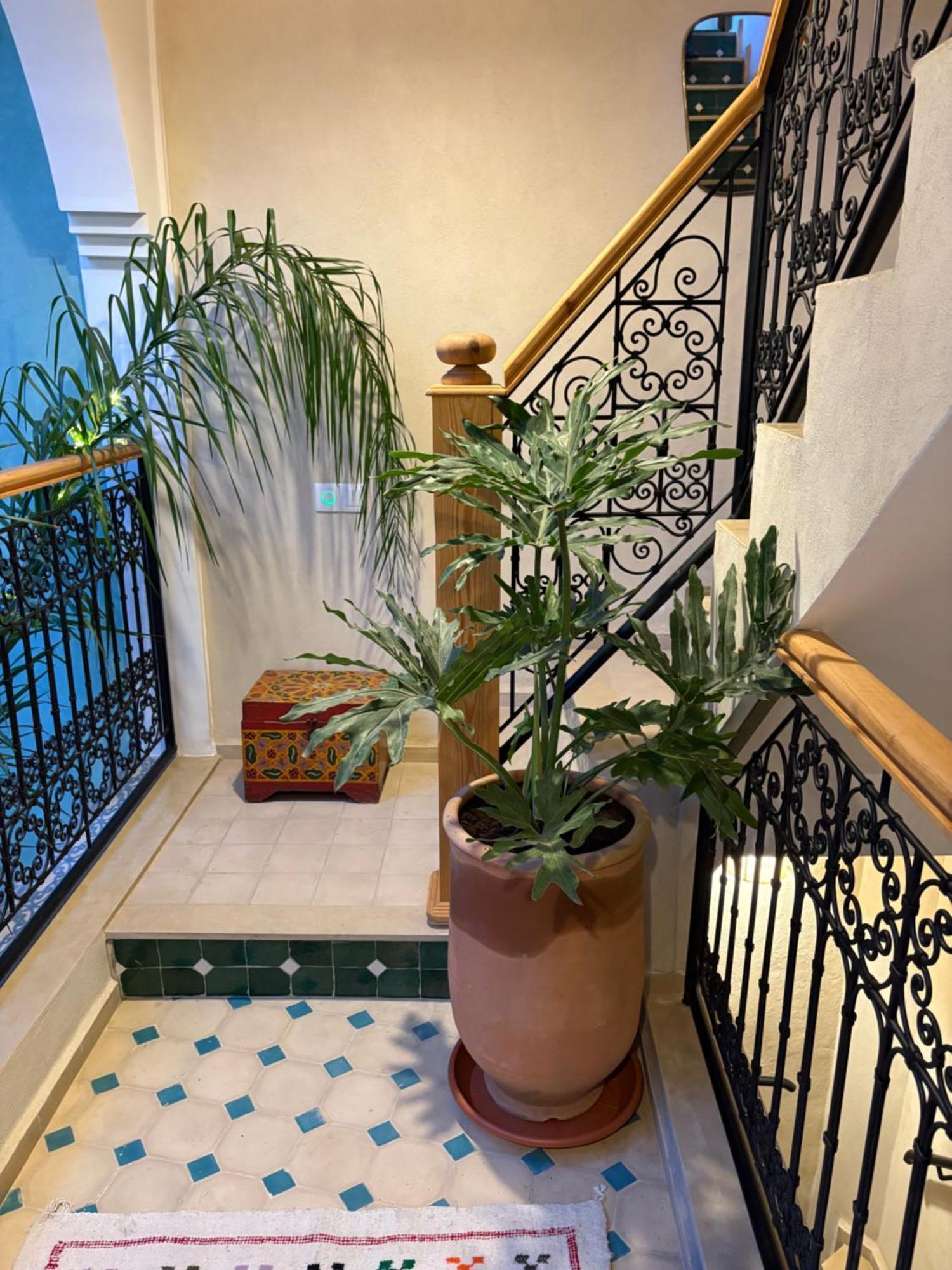 Riad212 Private Medina Fast Wi-Fi Plunge Pool มาร์ราเกช ภายนอก รูปภาพ